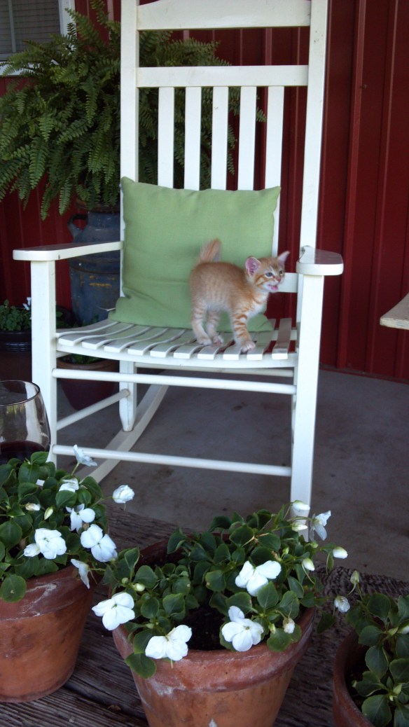 2012-05-23_18-54-53_481