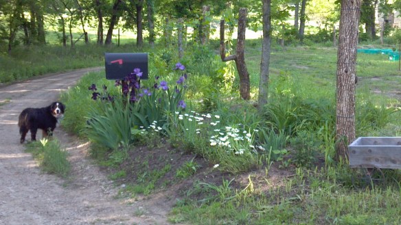 2013-05-21_18-41-05_776