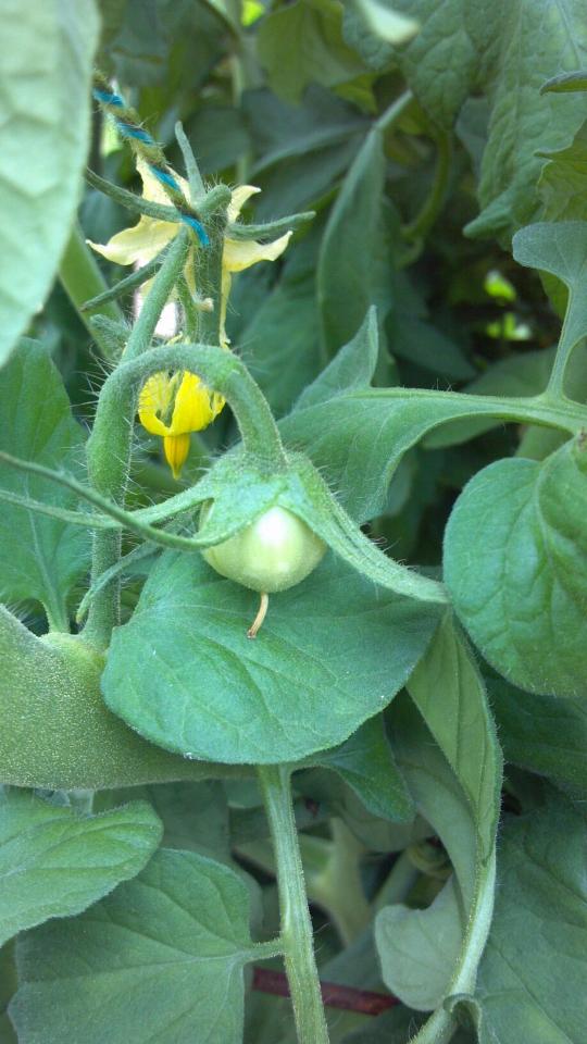 Resampled_2013-05-26_14-51-17_829