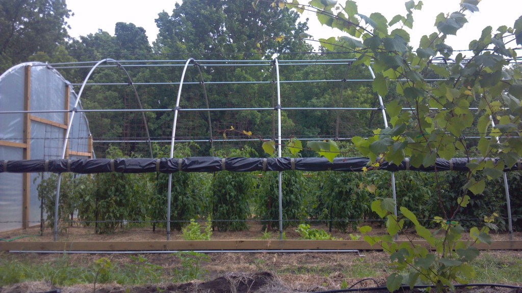 2013-06-05_17-20-27_311