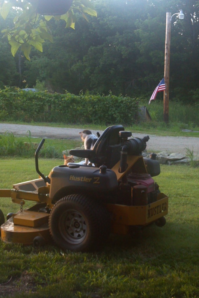 2013-06-11_06-27-46_996