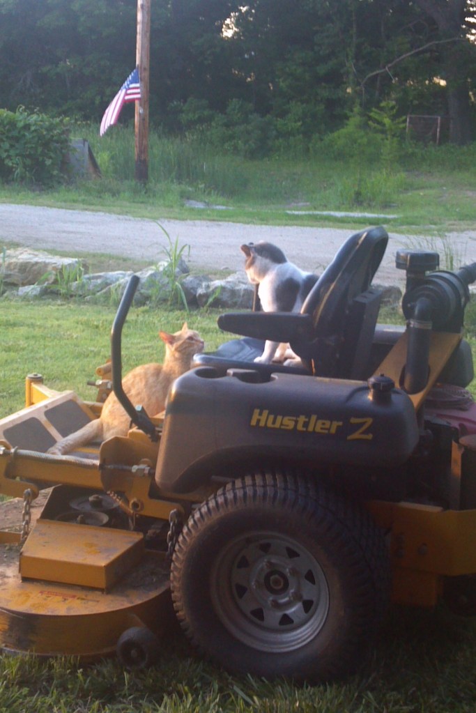 2013-06-11_06-27-59_744