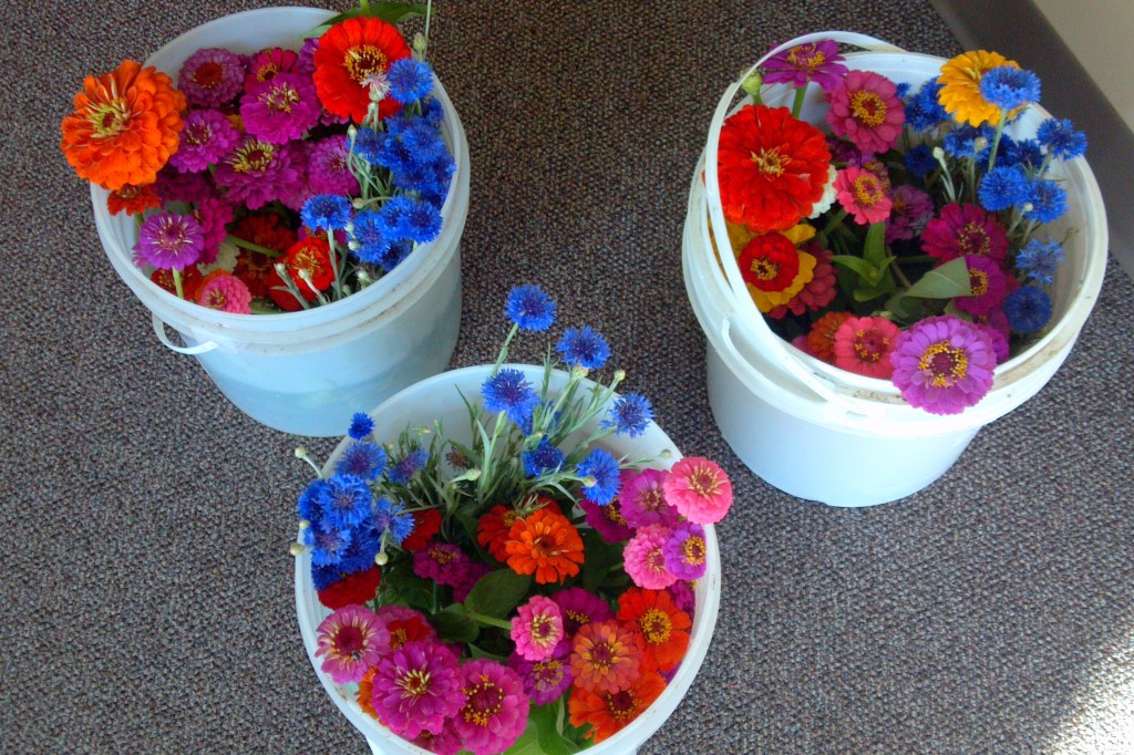 2013-06-28_07-57-26_664