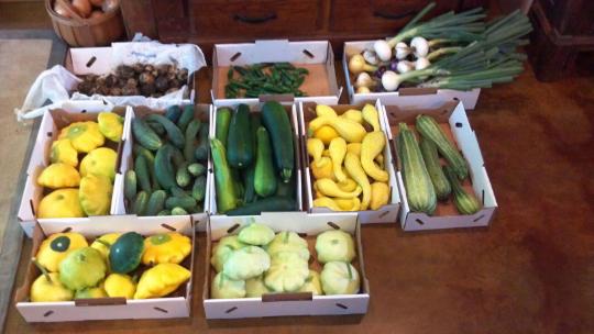 Resampled_2013-06-21_09-35-01_971