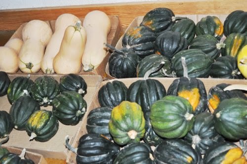 winter squash