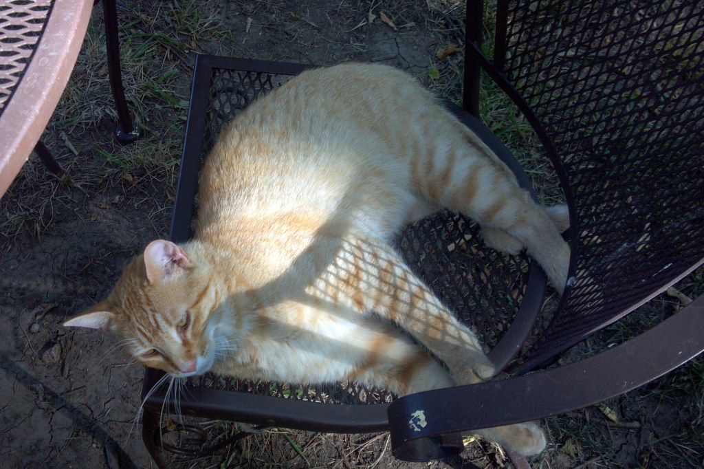 2013-07-01_17-47-16_577