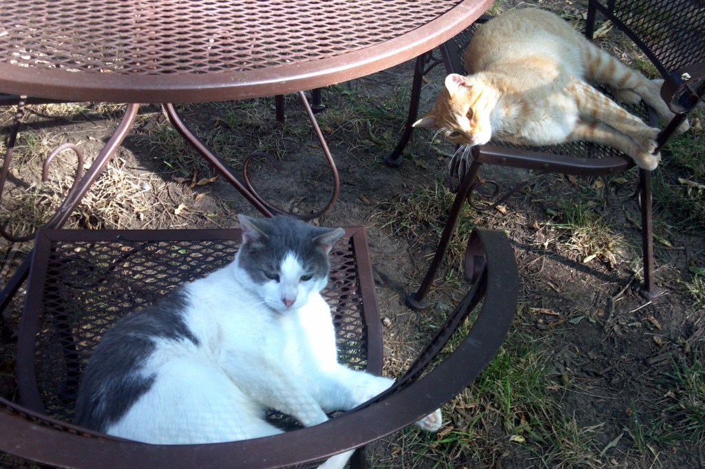 2013-07-01_17-47-25_302