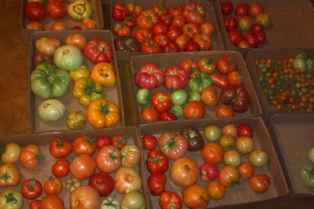 2013-07-01_20-29-39_764