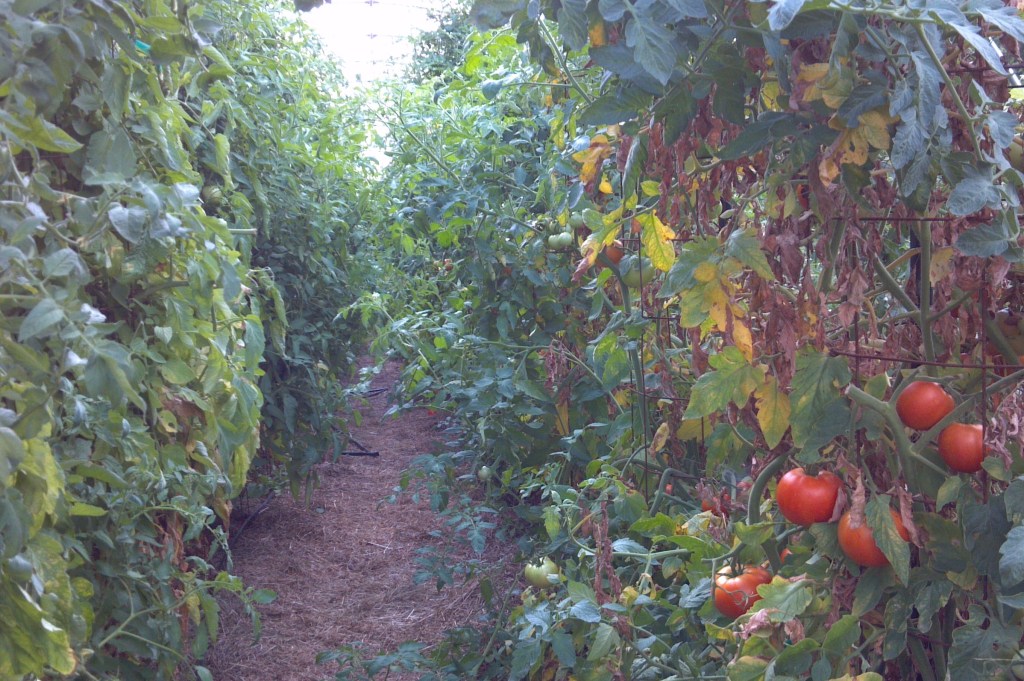 2013-07-18_10-59-20_273