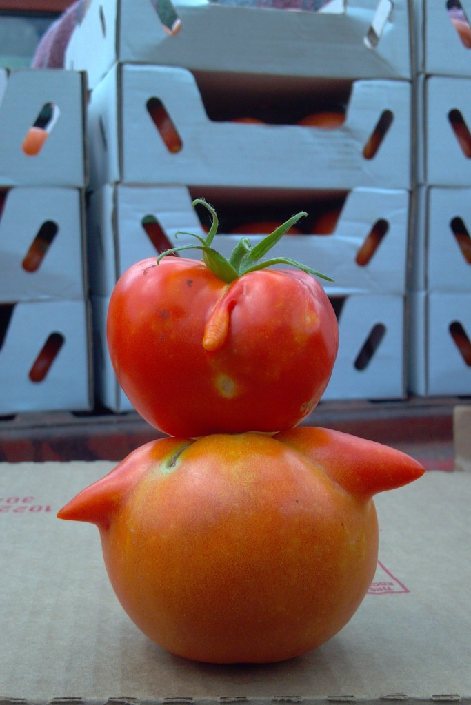 2013-07-18_11-15-55_197