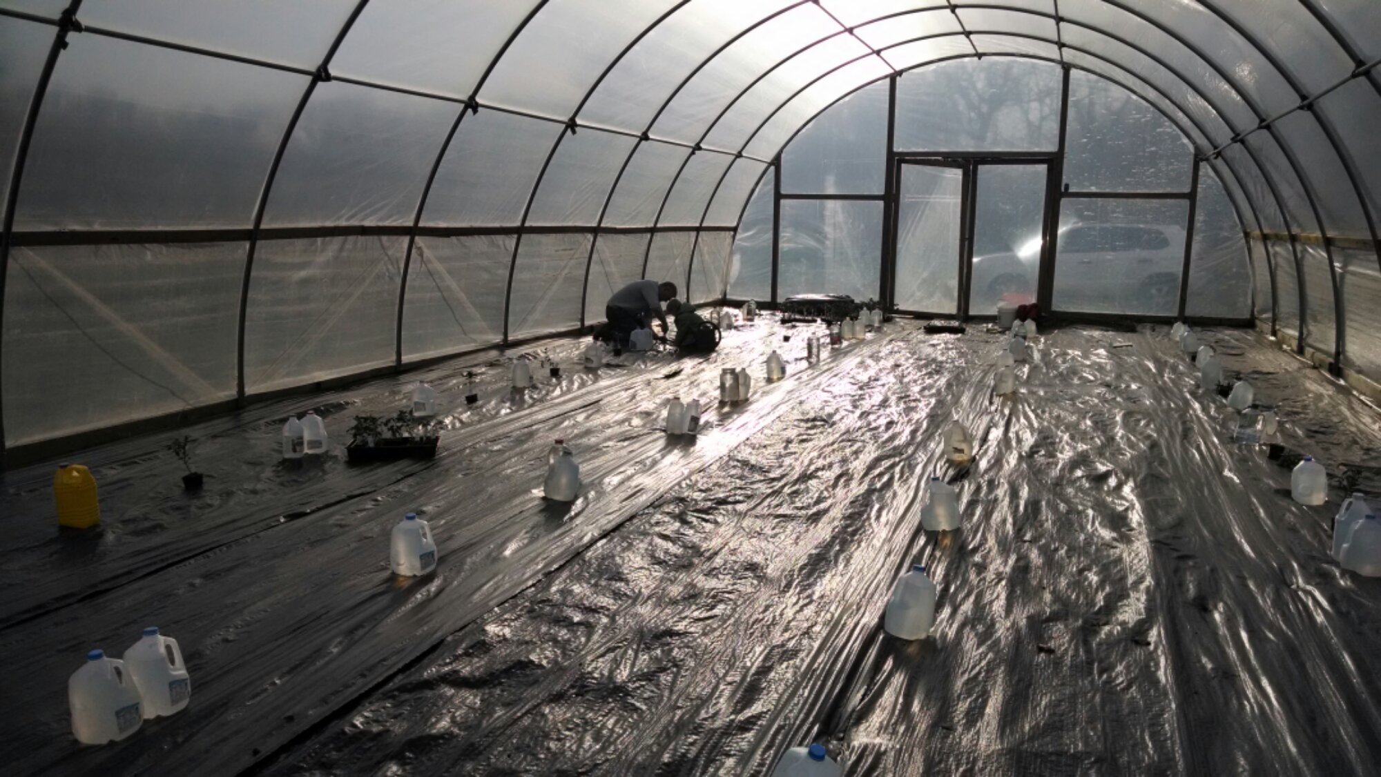 wp-1395108467134 image