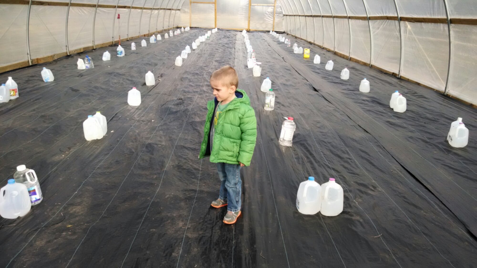 wp-1395108512758 image