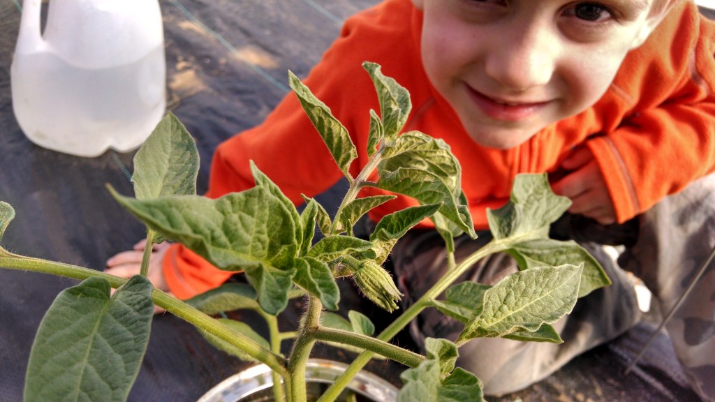 IMG_20140408_162915490_HDR