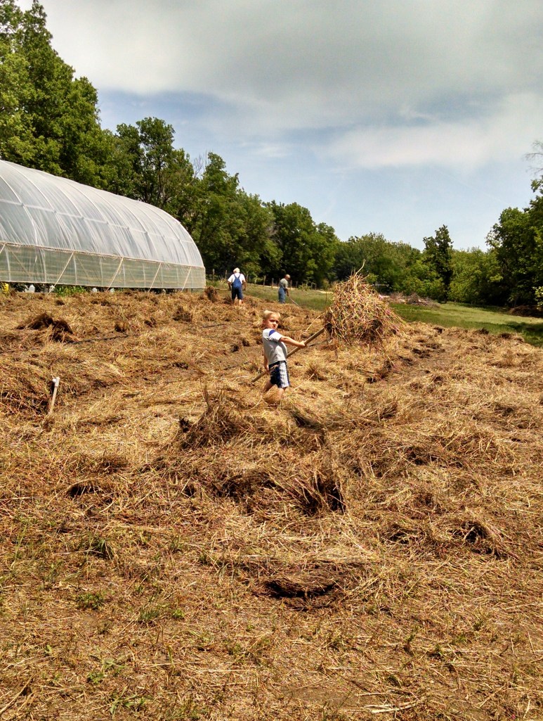 IMG_20140517_141212028_HDR