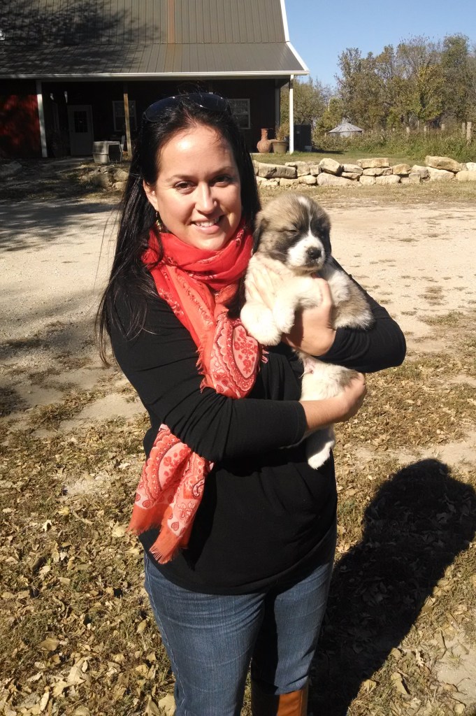 IMG_20141031_133403770