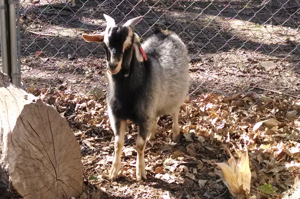 IMG_20141031_133735411