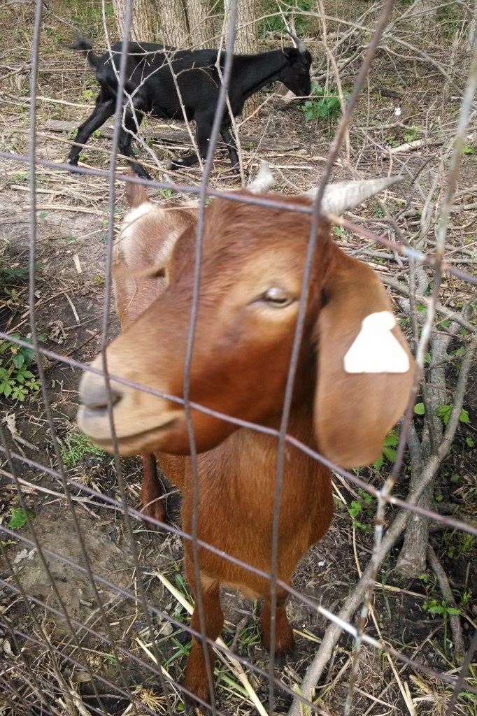 IMG_20140702_174124045