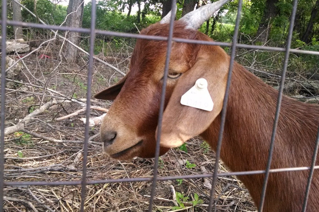 IMG_20140702_174406543