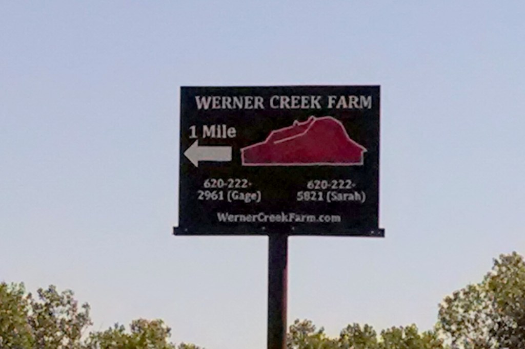 IMG_20140907_115724020