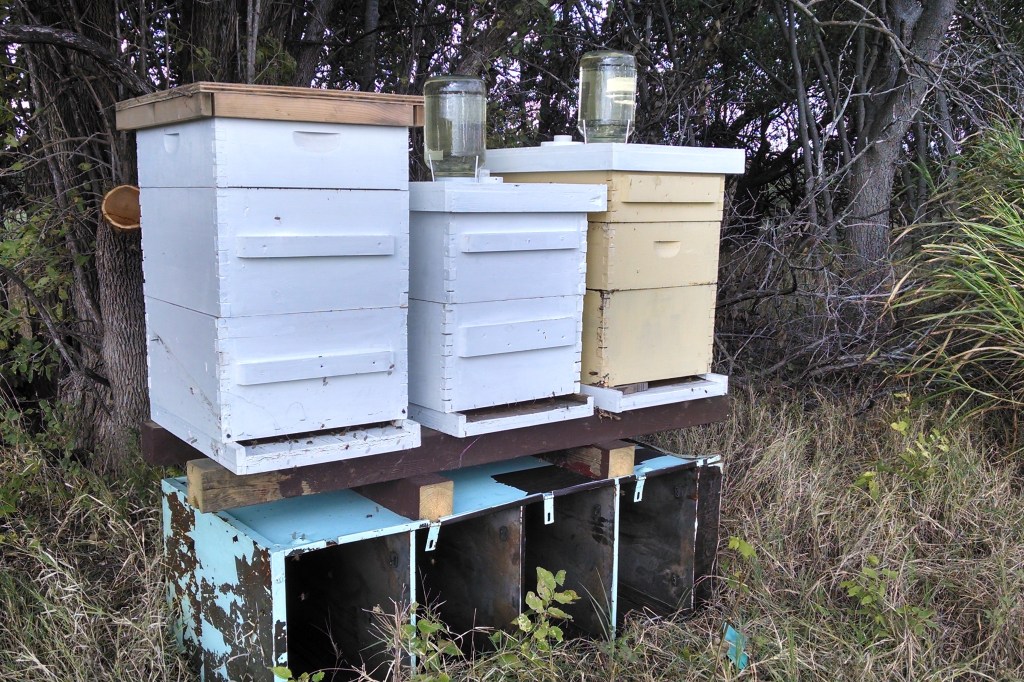 IMG_20141001_162339993_HDR