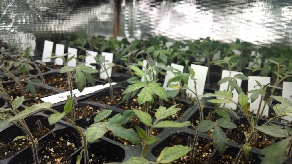 IMG_20150225_055050556